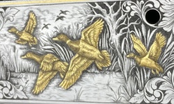 Bild "Bildzeile8:z8b4k.jpg"